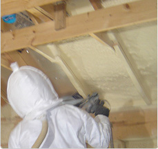 Atlanta Attic Insulation Company Team Roofing
